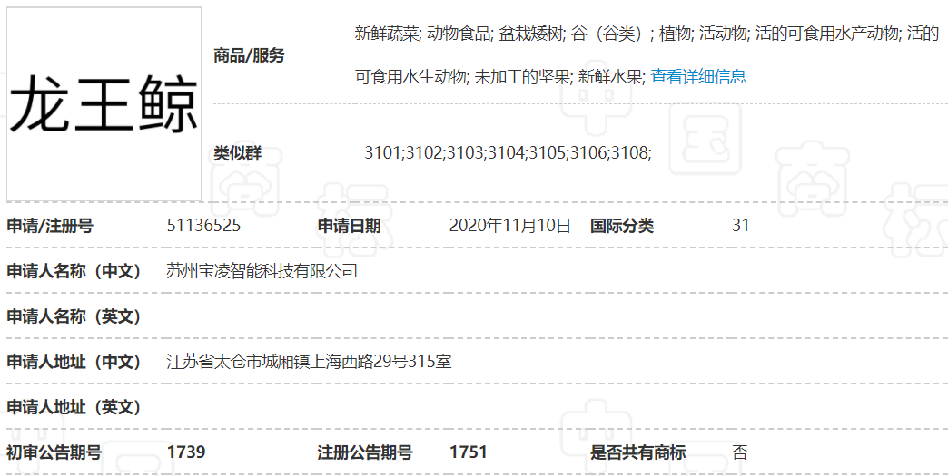 08-龙王鲸31